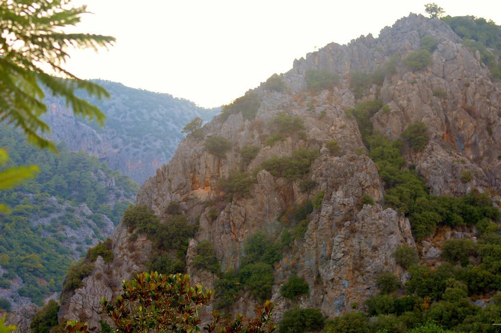 Safir Pansiyon Çıralı Εξωτερικό φωτογραφία
