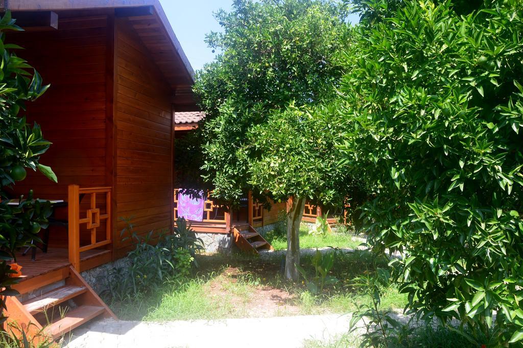 Safir Pansiyon Çıralı Εξωτερικό φωτογραφία