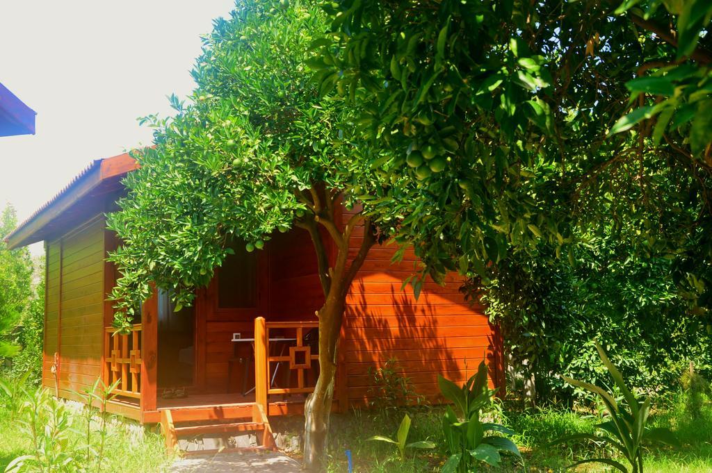 Safir Pansiyon Çıralı Εξωτερικό φωτογραφία