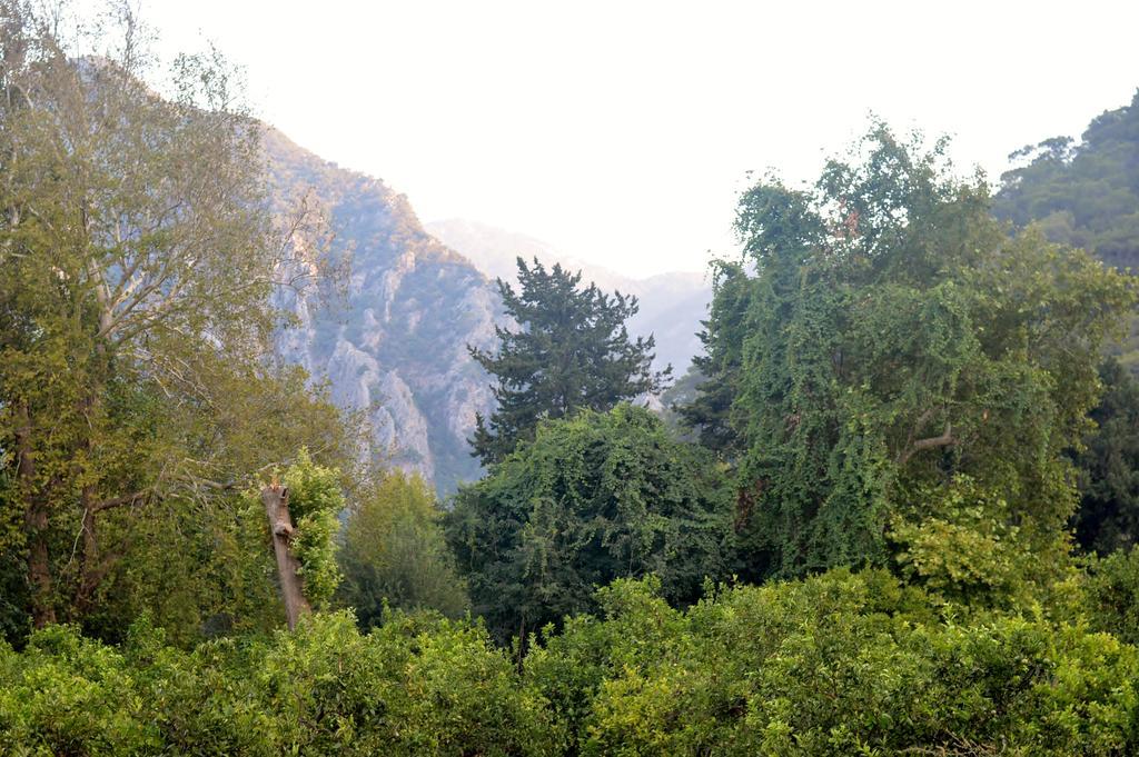 Safir Pansiyon Çıralı Εξωτερικό φωτογραφία