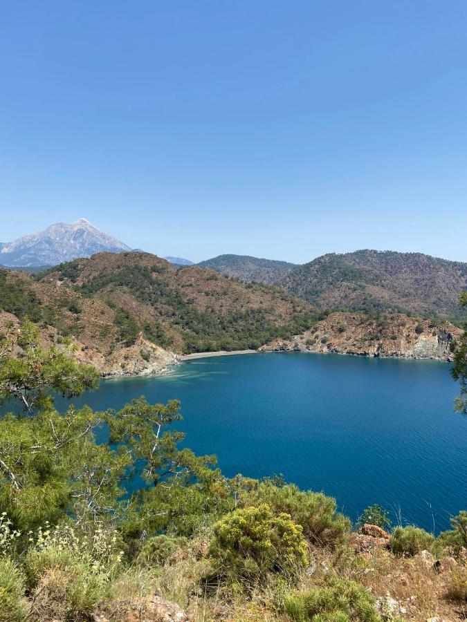 Safir Pansiyon Çıralı Εξωτερικό φωτογραφία